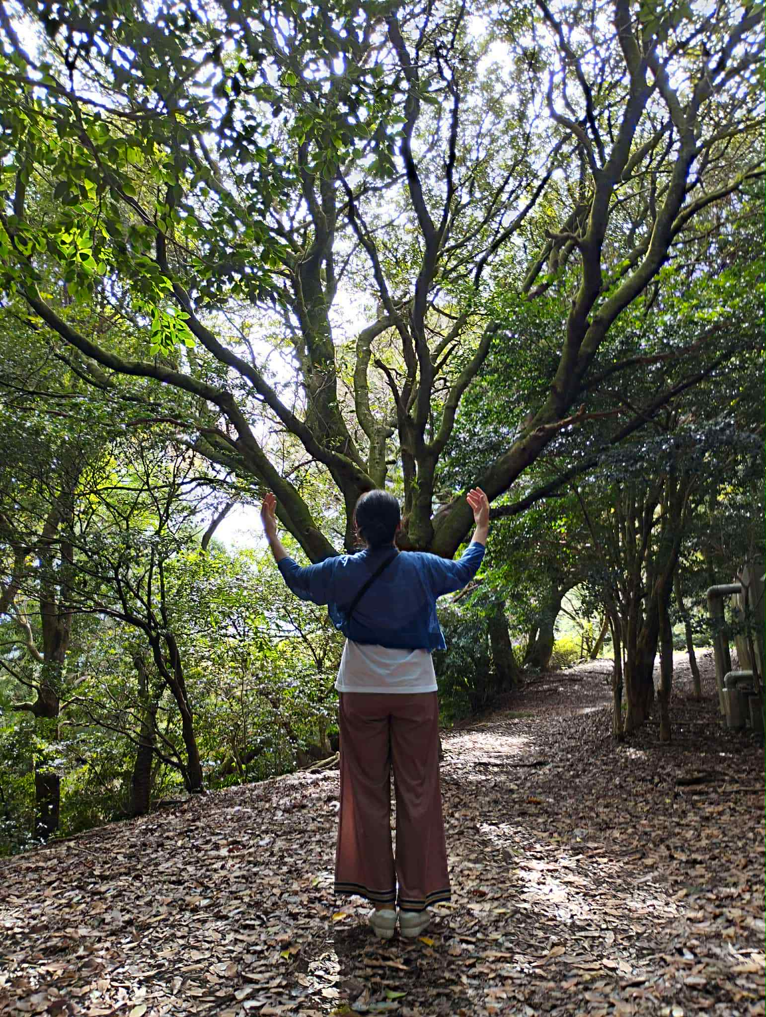 プロフィール背景画像